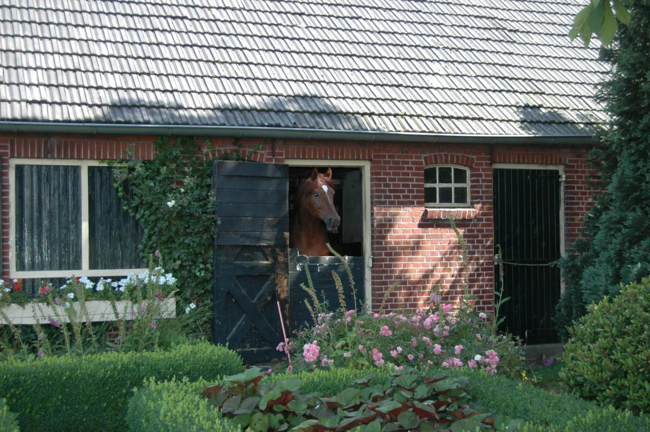 Erve Het Roolvink Boerderij Appartementen 40-50 M2 엔스헤데 외부 사진