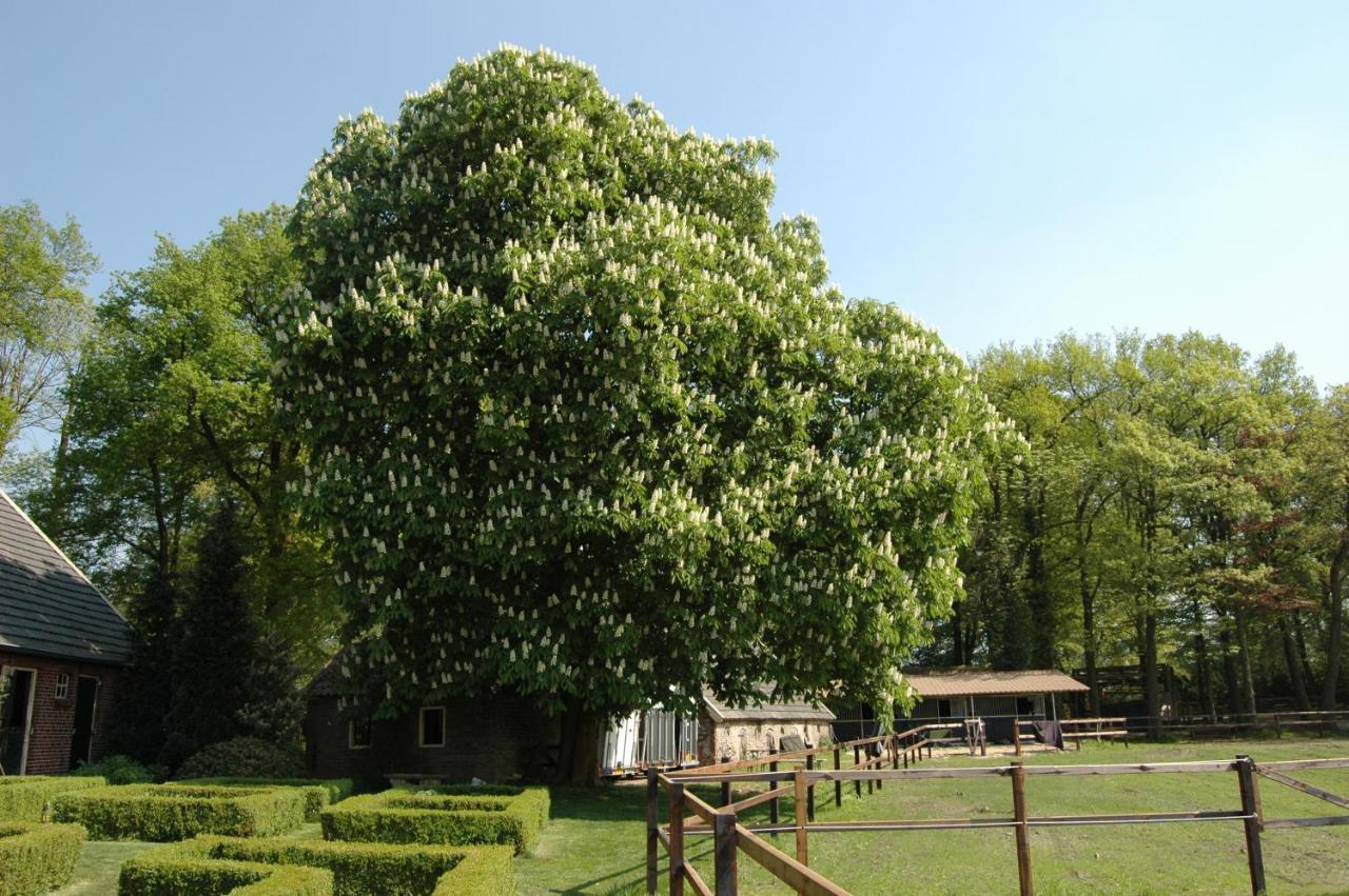 Erve Het Roolvink Boerderij Appartementen 40-50 M2 엔스헤데 외부 사진