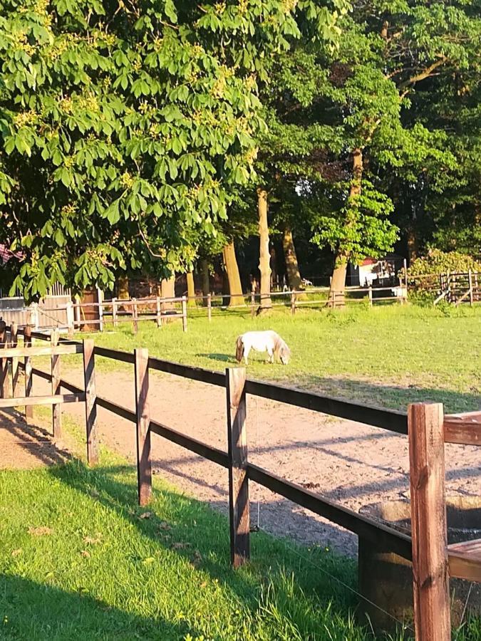 Erve Het Roolvink Boerderij Appartementen 40-50 M2 엔스헤데 외부 사진