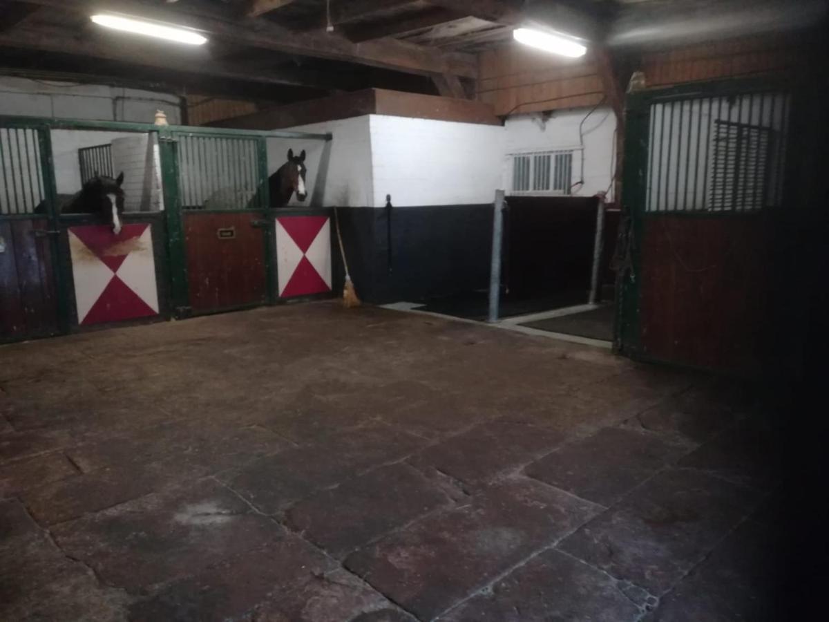 Erve Het Roolvink Boerderij Appartementen 40-50 M2 엔스헤데 외부 사진