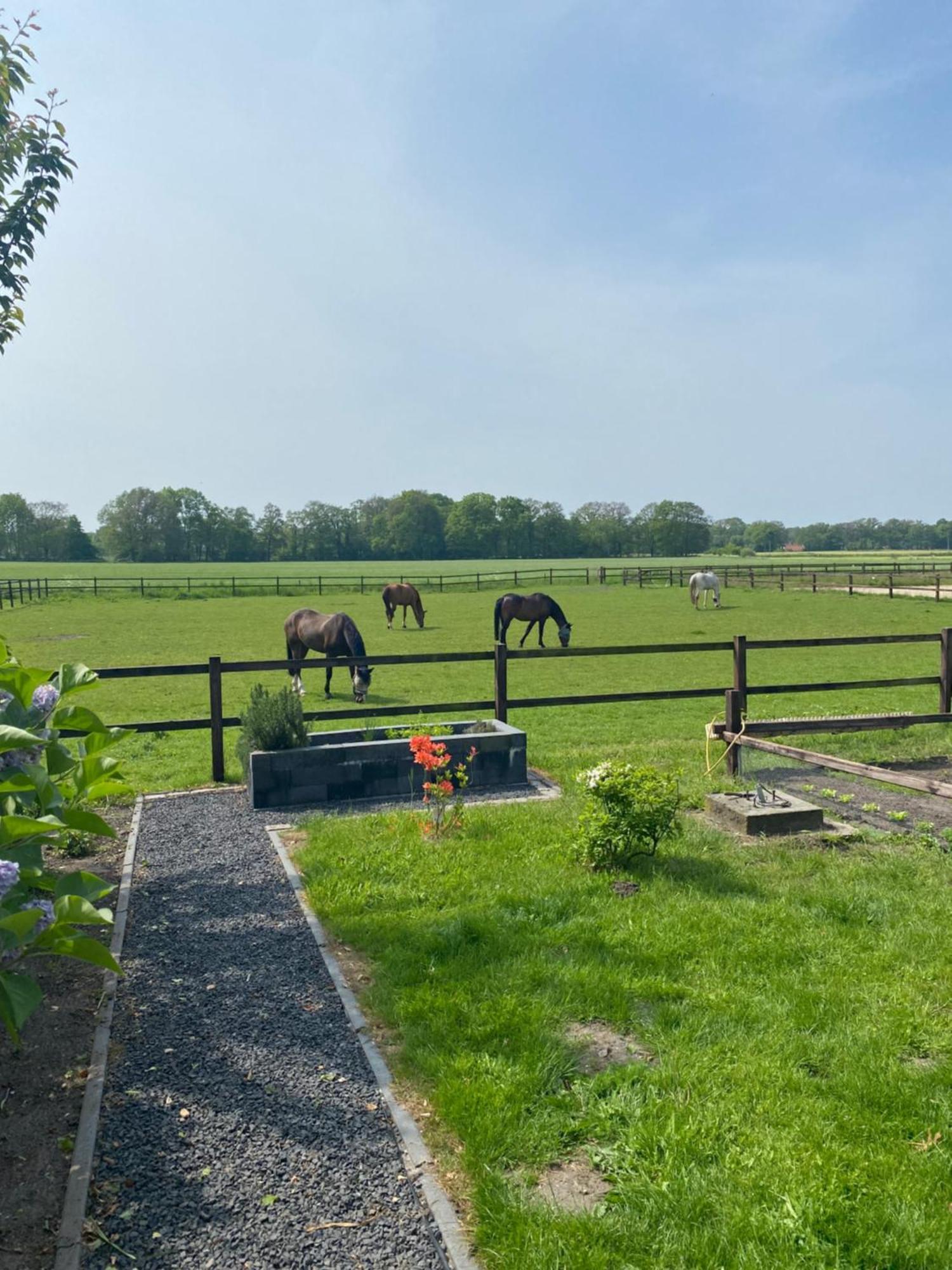 Erve Het Roolvink Boerderij Appartementen 40-50 M2 엔스헤데 외부 사진